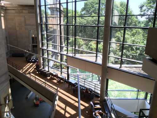 View from second floor of large windowed wall with sunlight streaming in.