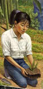Woman wearing white shirt and jeans kneeling in dirt holding plant to place in ground.